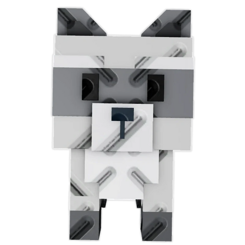 Raccoon